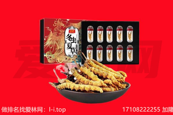 拉萨尼木县回收虫草.jpg